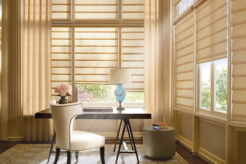 Smart Home Automation Blinds